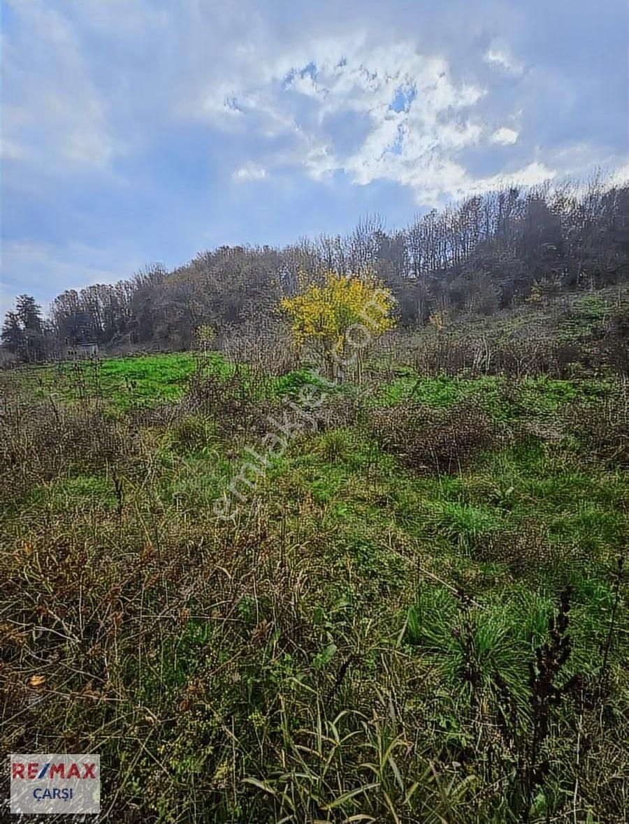 Köye Yakın Fırsat Tarla - Görsel 11