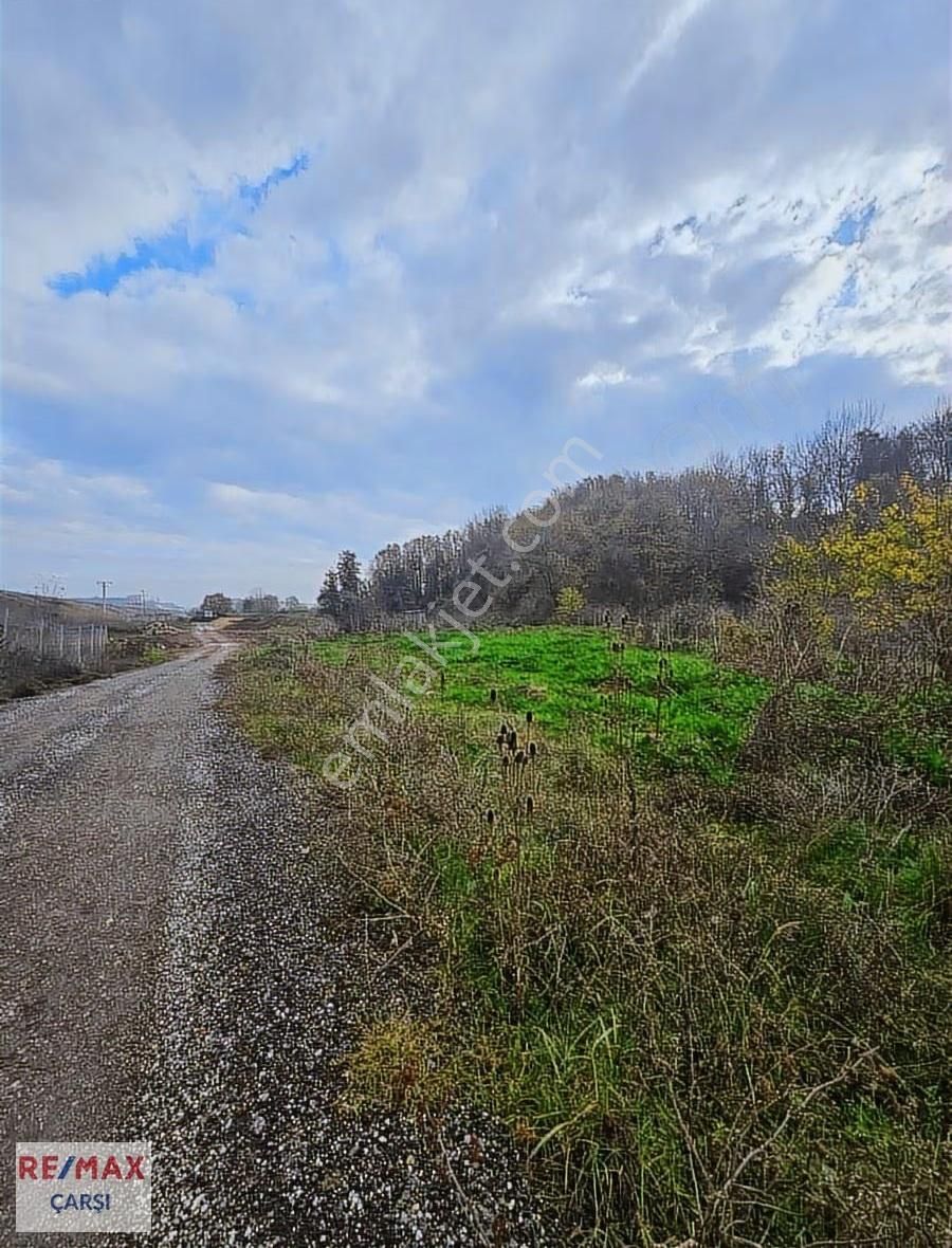 Köye Yakın Fırsat Tarla - Görsel 2