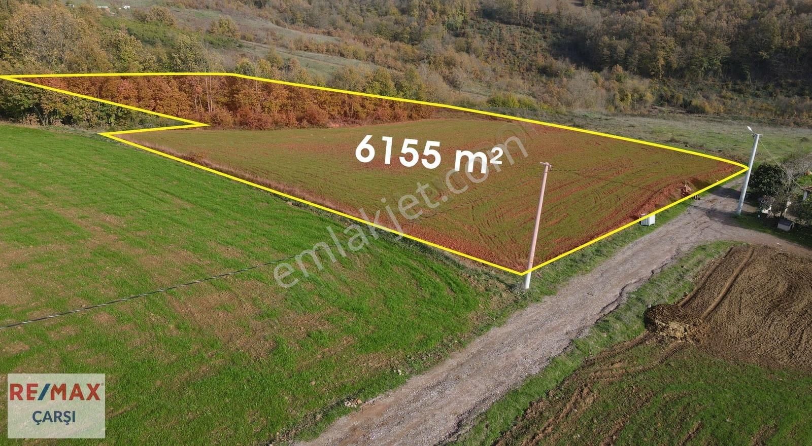 Yassıbağda Kaçırılmayacak Fırsat: Yol Cepheli Tarla - Görsel 4