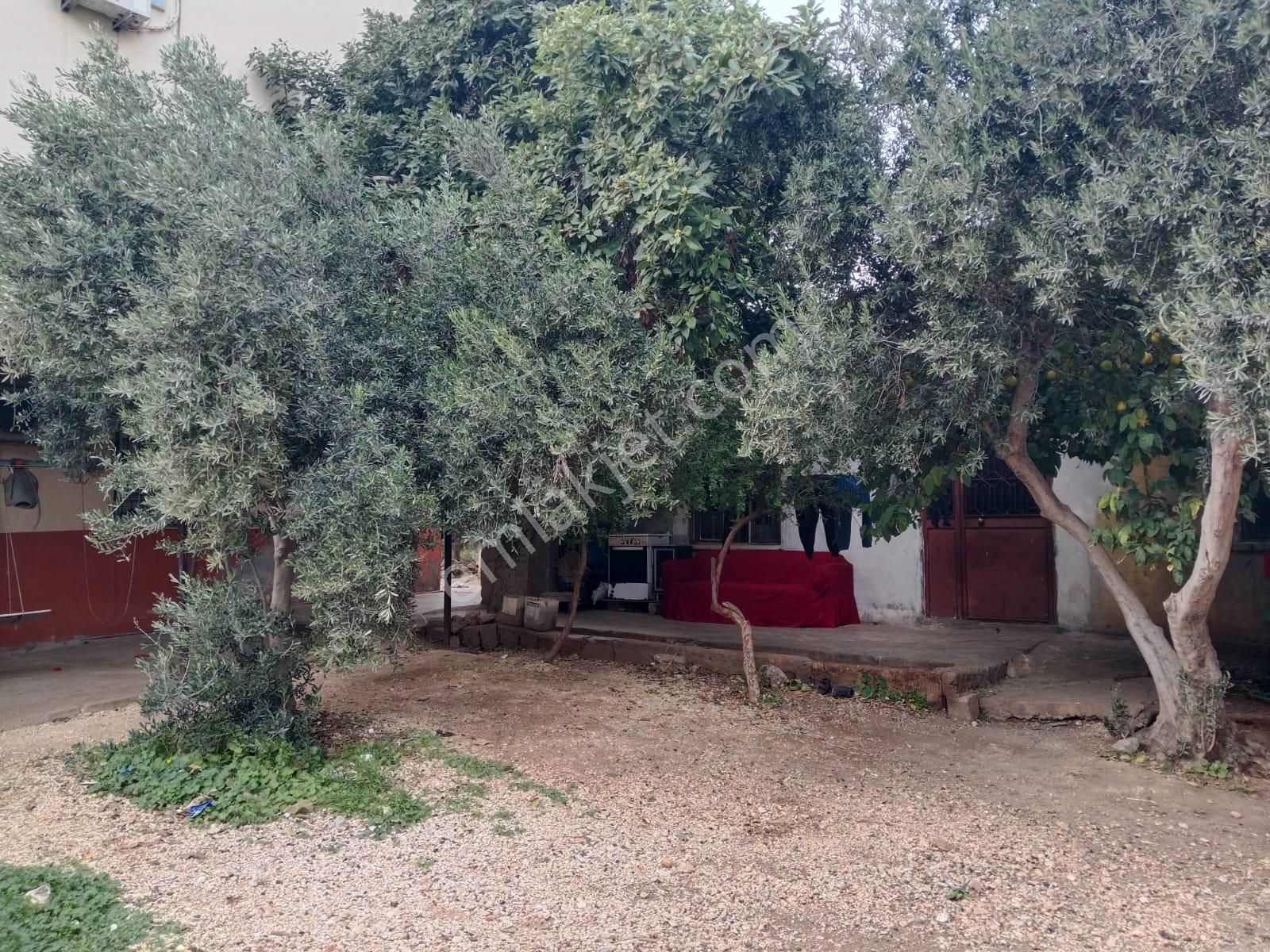 Atabey Groupdan Müstakil Ev - Görsel 19