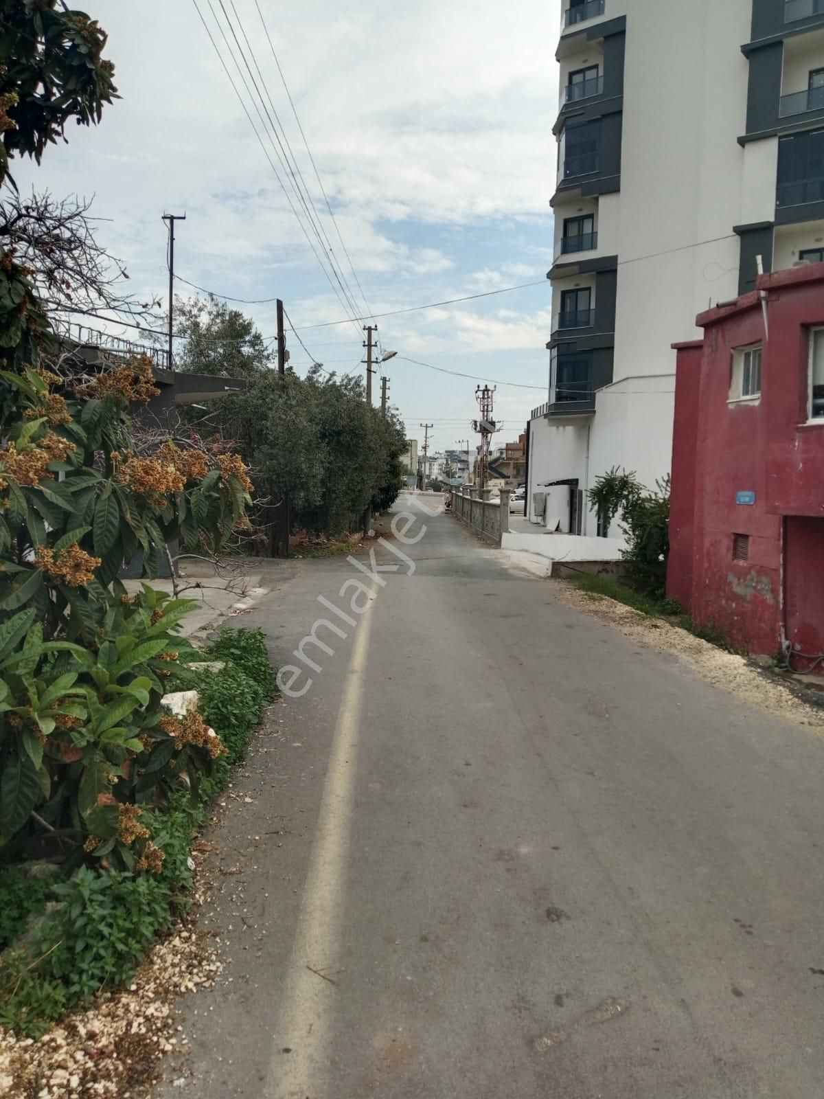 Atabey Groupdan Müstakil Ev - Görsel 20