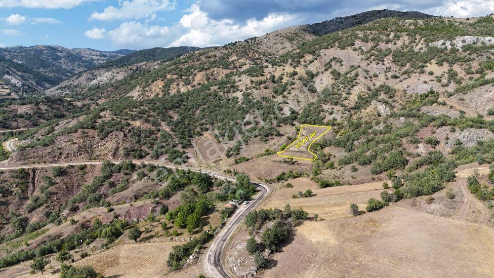 Amasya / Hamamözü / Arpaderesi De 1.574 M² Müstakil Tarla - Görsel 8