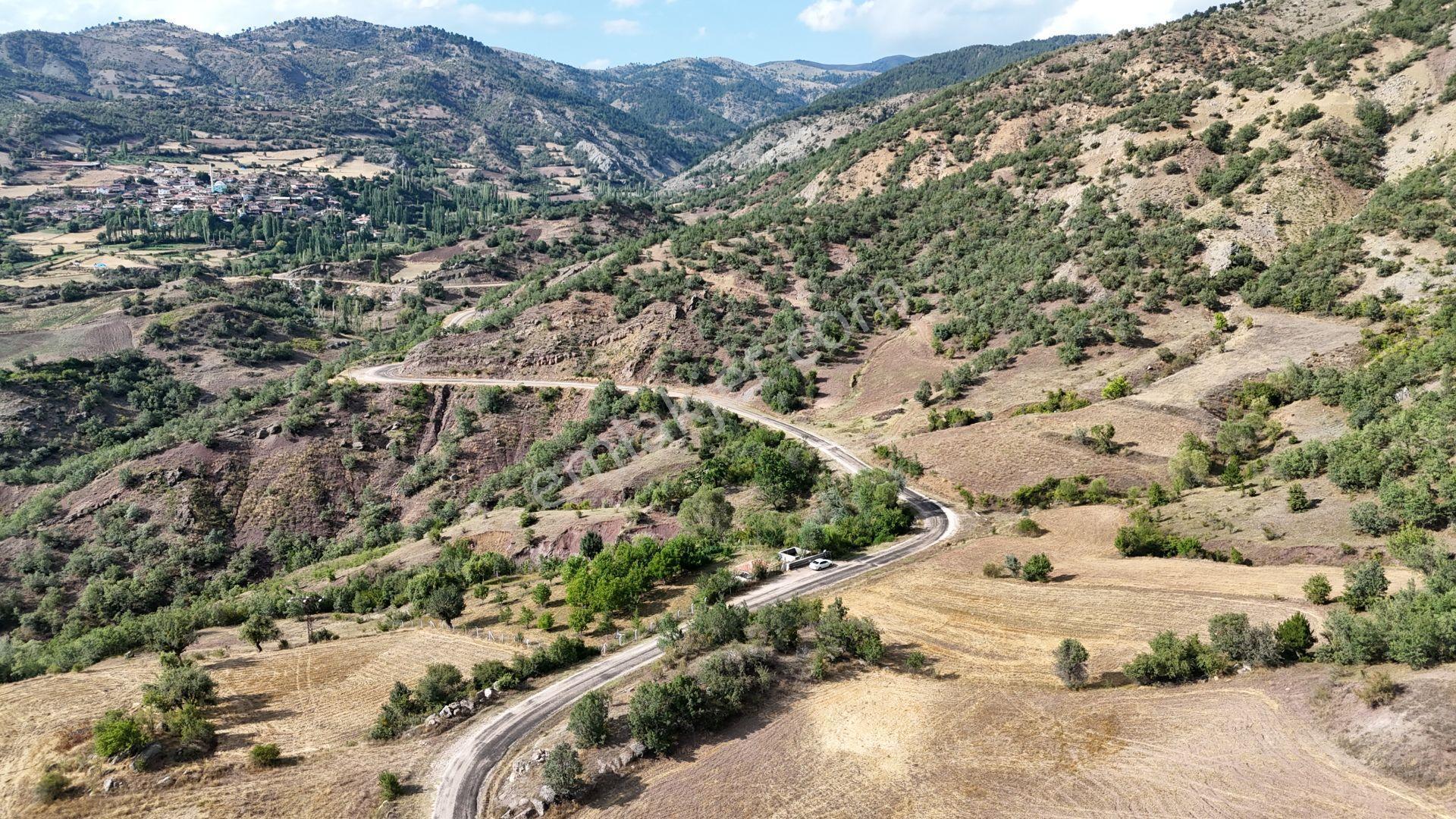 Amasya / Hamamözü / Arpaderesi De 1.574 M² Müstakil Tarla - Görsel 3