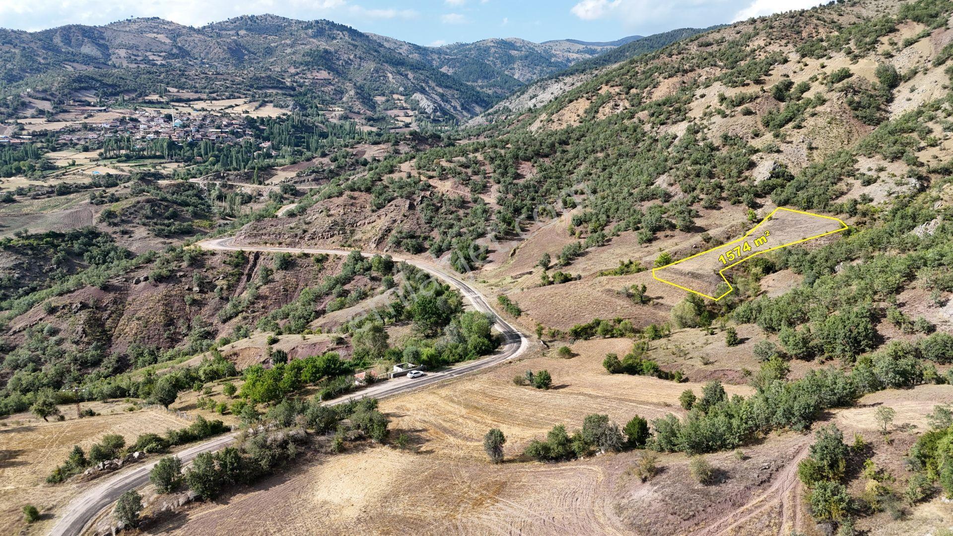 Amasya / Hamamözü / Arpaderesi De 1.574 M² Müstakil Tarla - Görsel 5