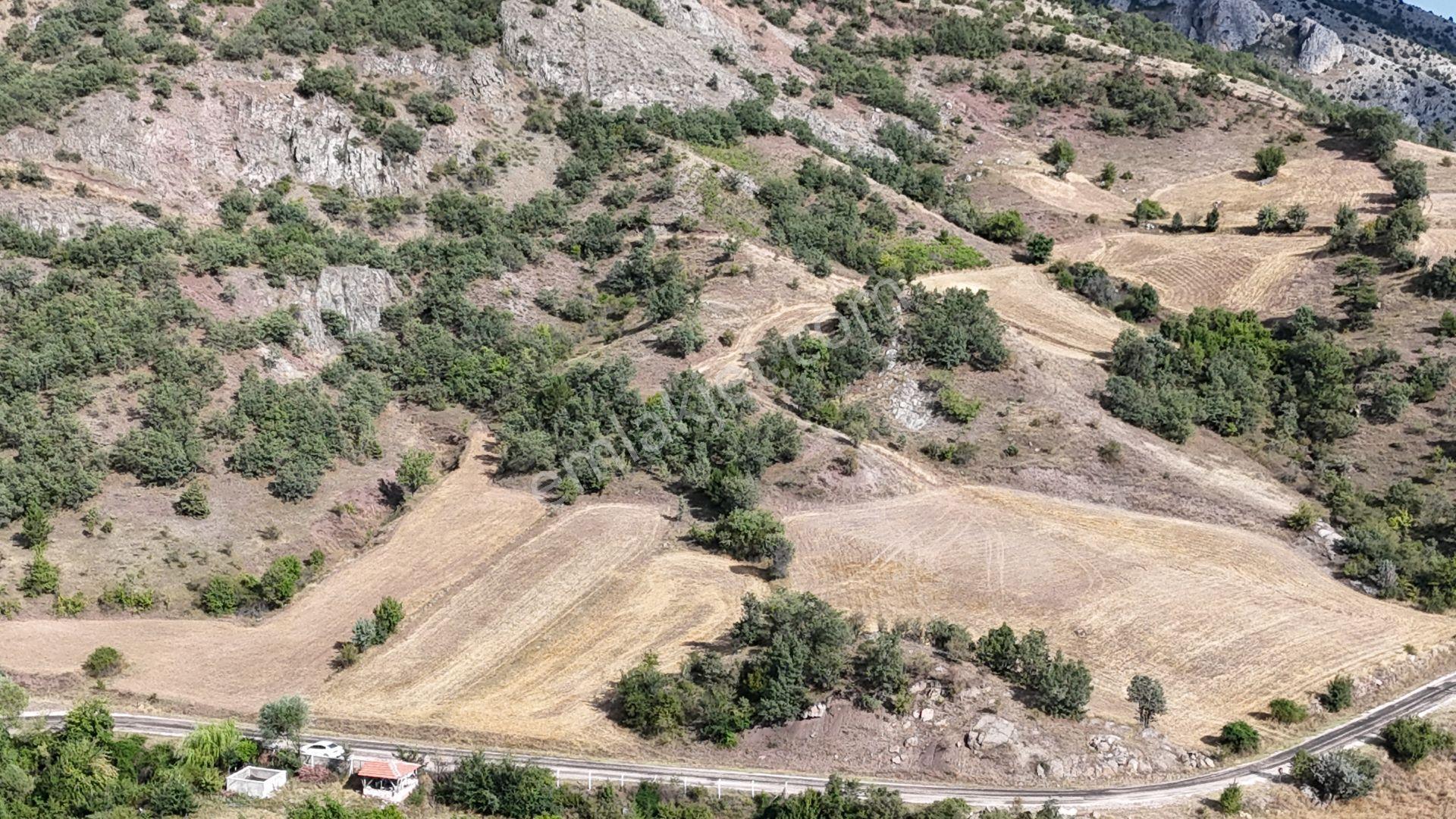Amasya / Hamamözü / Arpaderesi De 1.574 M² Müstakil Tarla - Görsel 6
