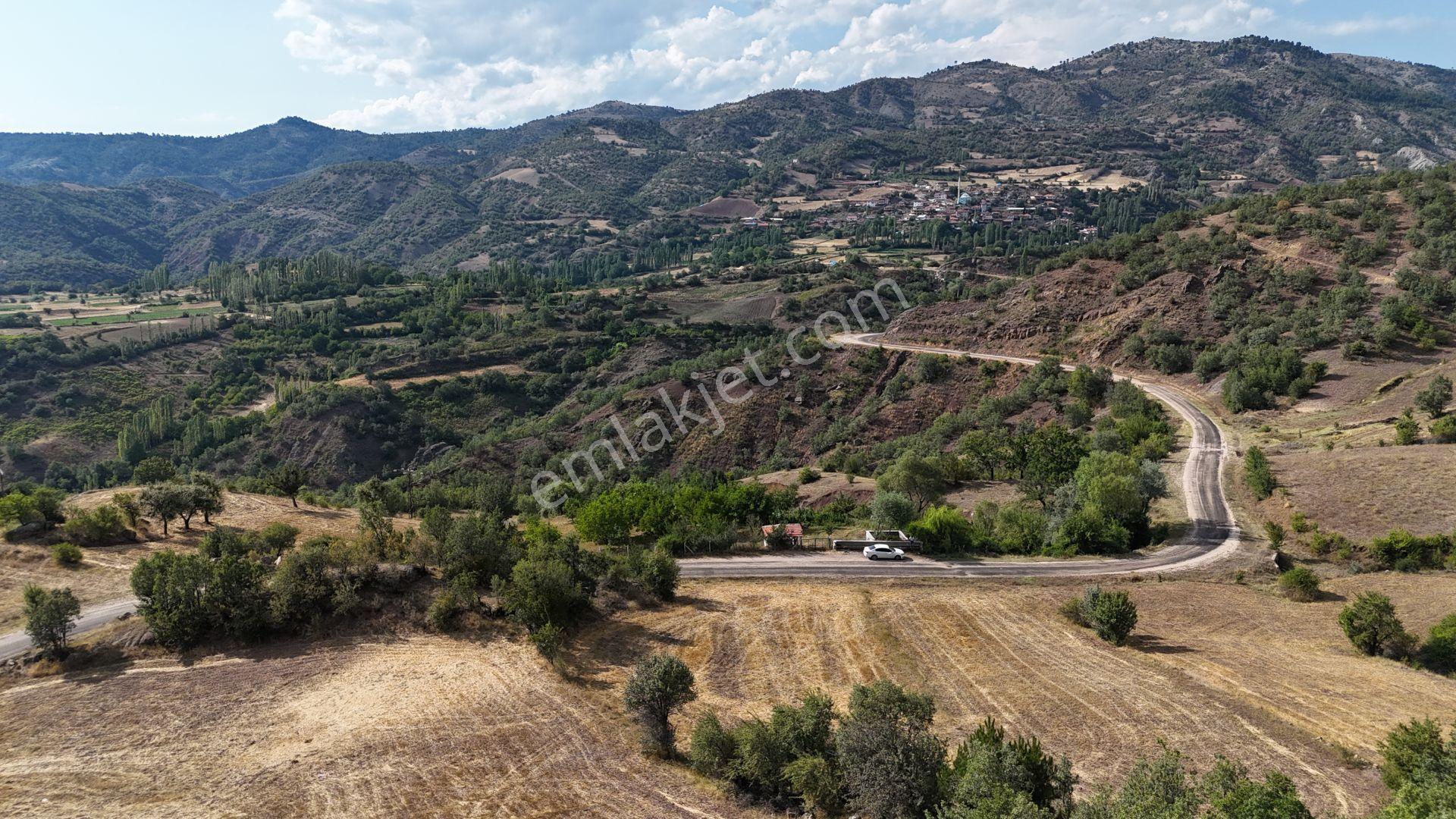 Amasya / Hamamözü / Arpaderesi De 1.574 M² Müstakil Tarla - Görsel 7