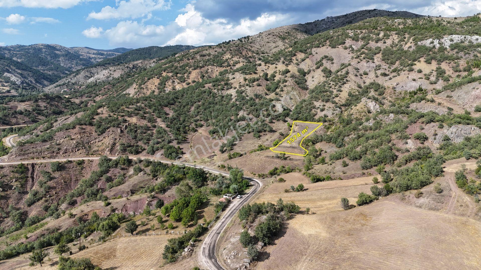 Amasya / Hamamözü / Arpaderesi De 1.574 M² Müstakil Tarla