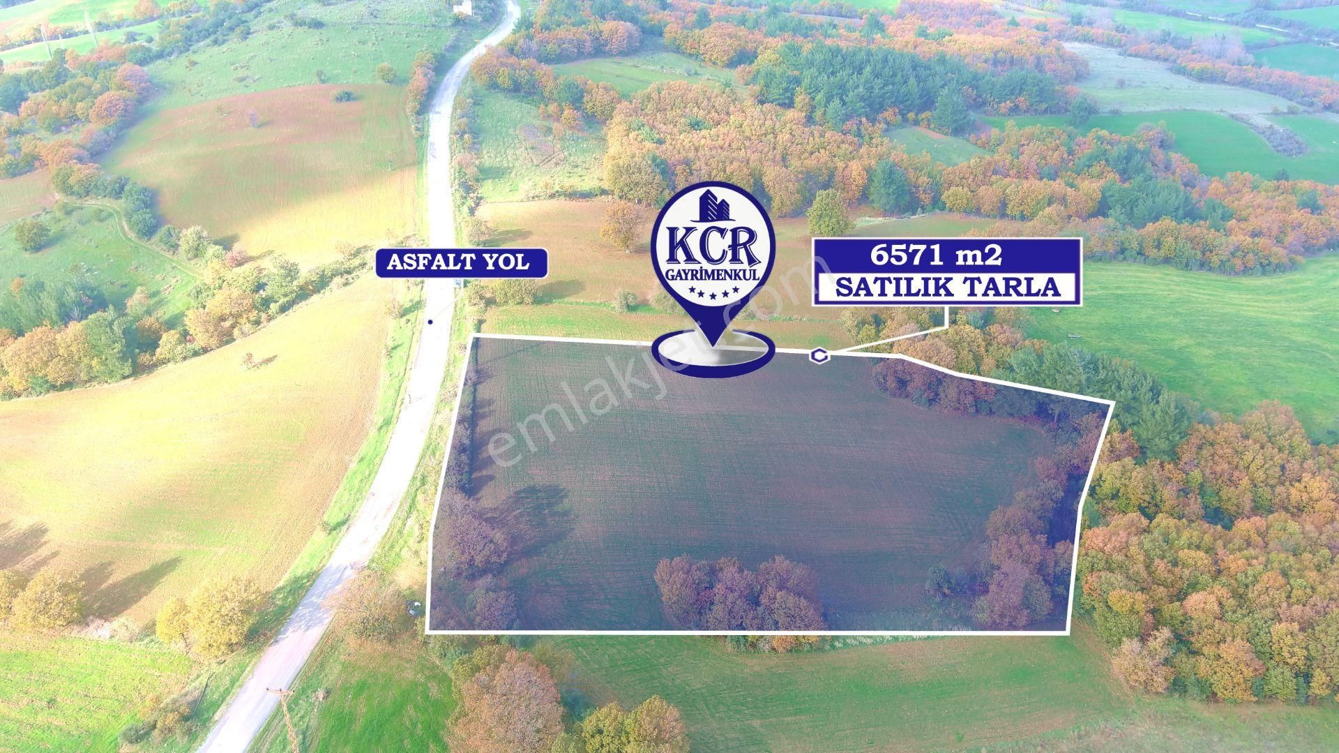 Lapseki'de Ulaşımı Kolay Asfalt Kenarı Yatırımlık Tarla - Görsel 14