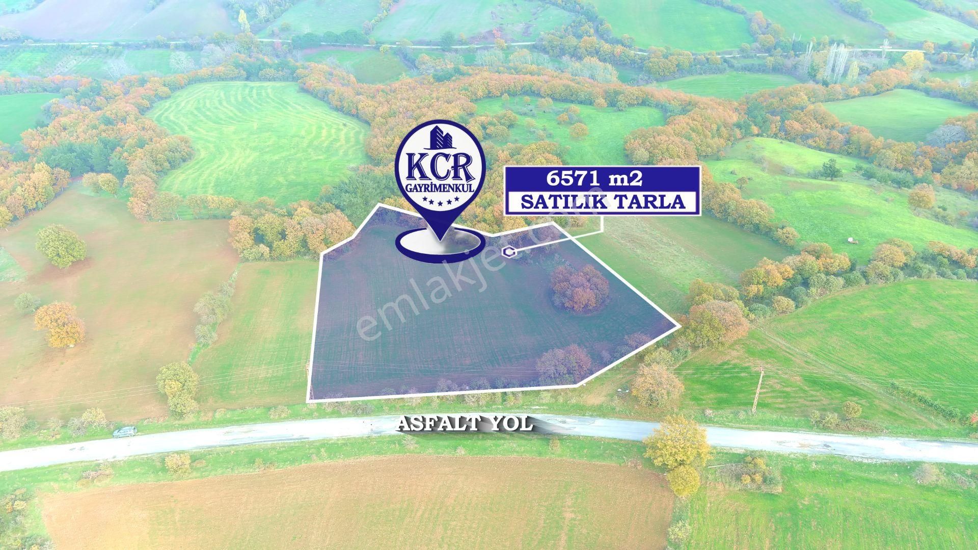 Lapseki'de Ulaşımı Kolay Asfalt Kenarı Yatırımlık Tarla - Görsel 4