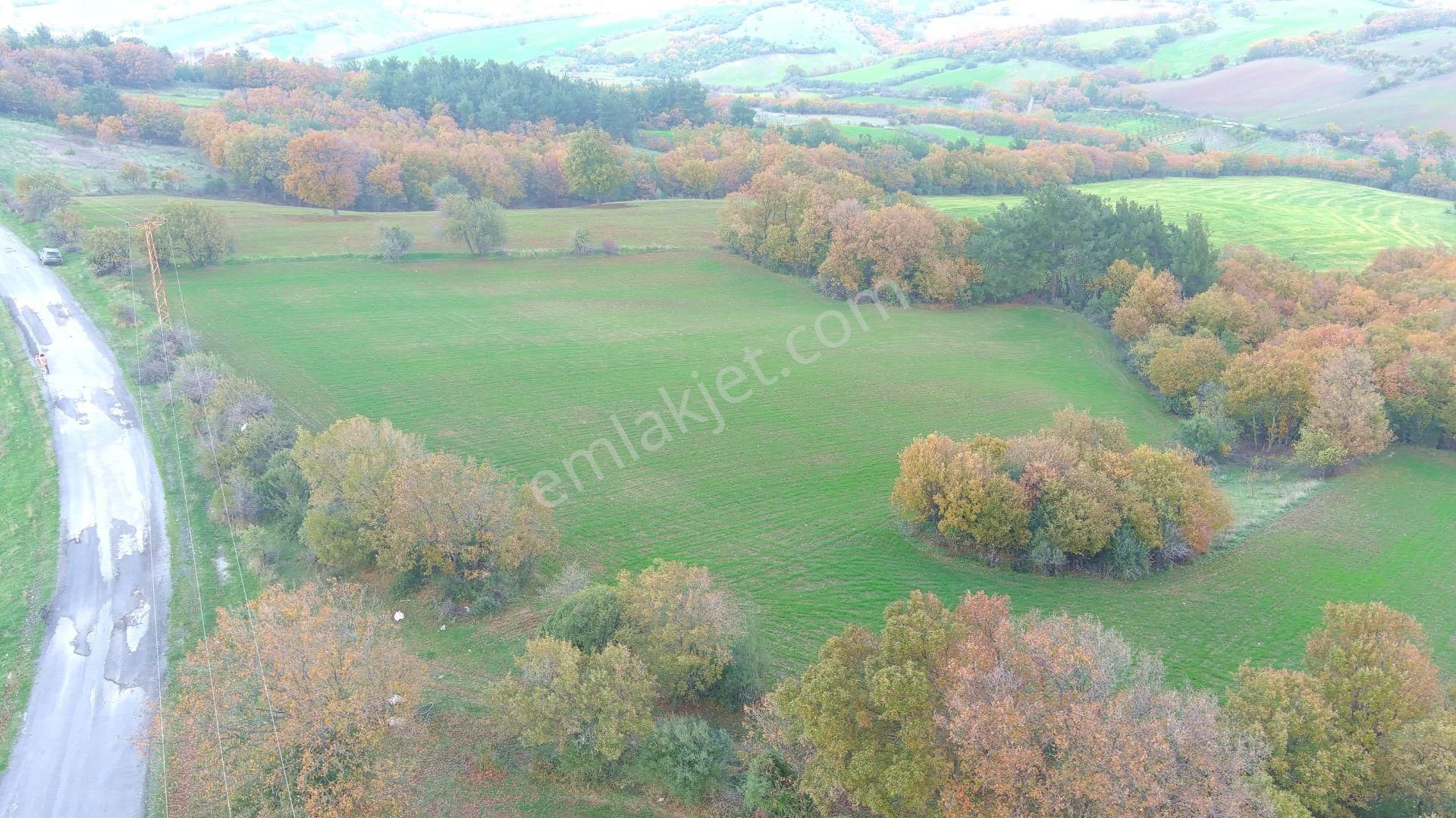 Lapseki'de Ulaşımı Kolay Asfalt Kenarı Yatırımlık Tarla - Görsel 11