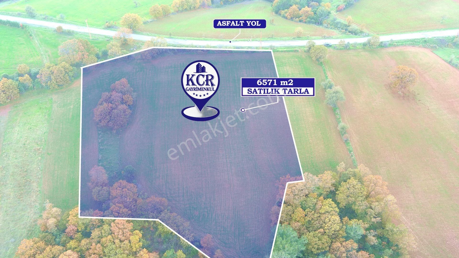 Lapseki'de Ulaşımı Kolay Asfalt Kenarı Yatırımlık Tarla - Görsel 9