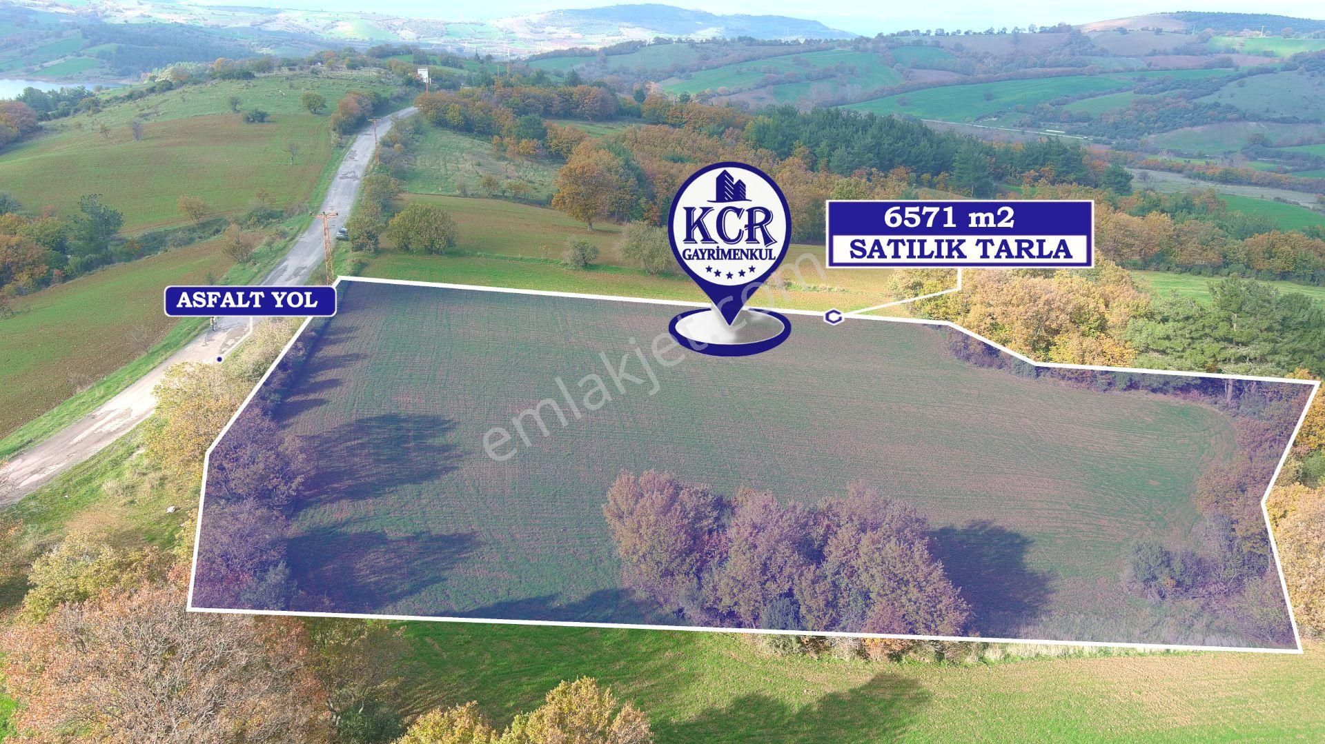 Lapseki'de Ulaşımı Kolay Asfalt Kenarı Yatırımlık Tarla