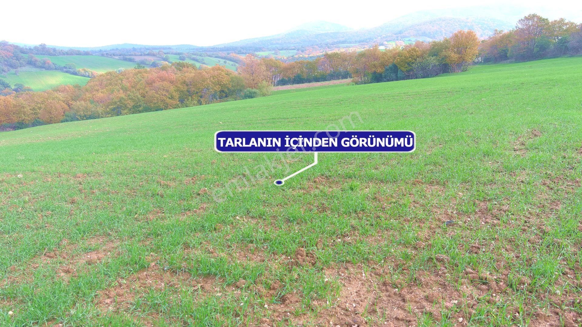 Lapseki'de Ulaşımı Kolay Asfalt Kenarı Yatırımlık Tarla - Görsel 2