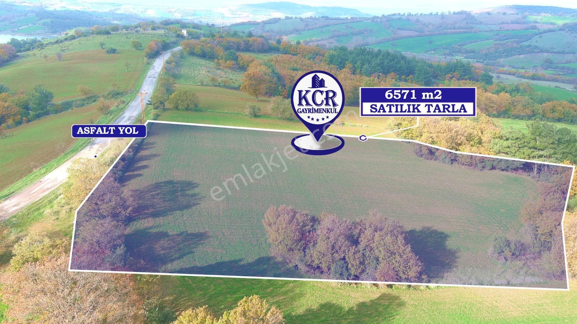 Lapseki'de Ulaşımı Kolay Asfalt Kenarı Yatırımlık Tarla - Görsel 15
