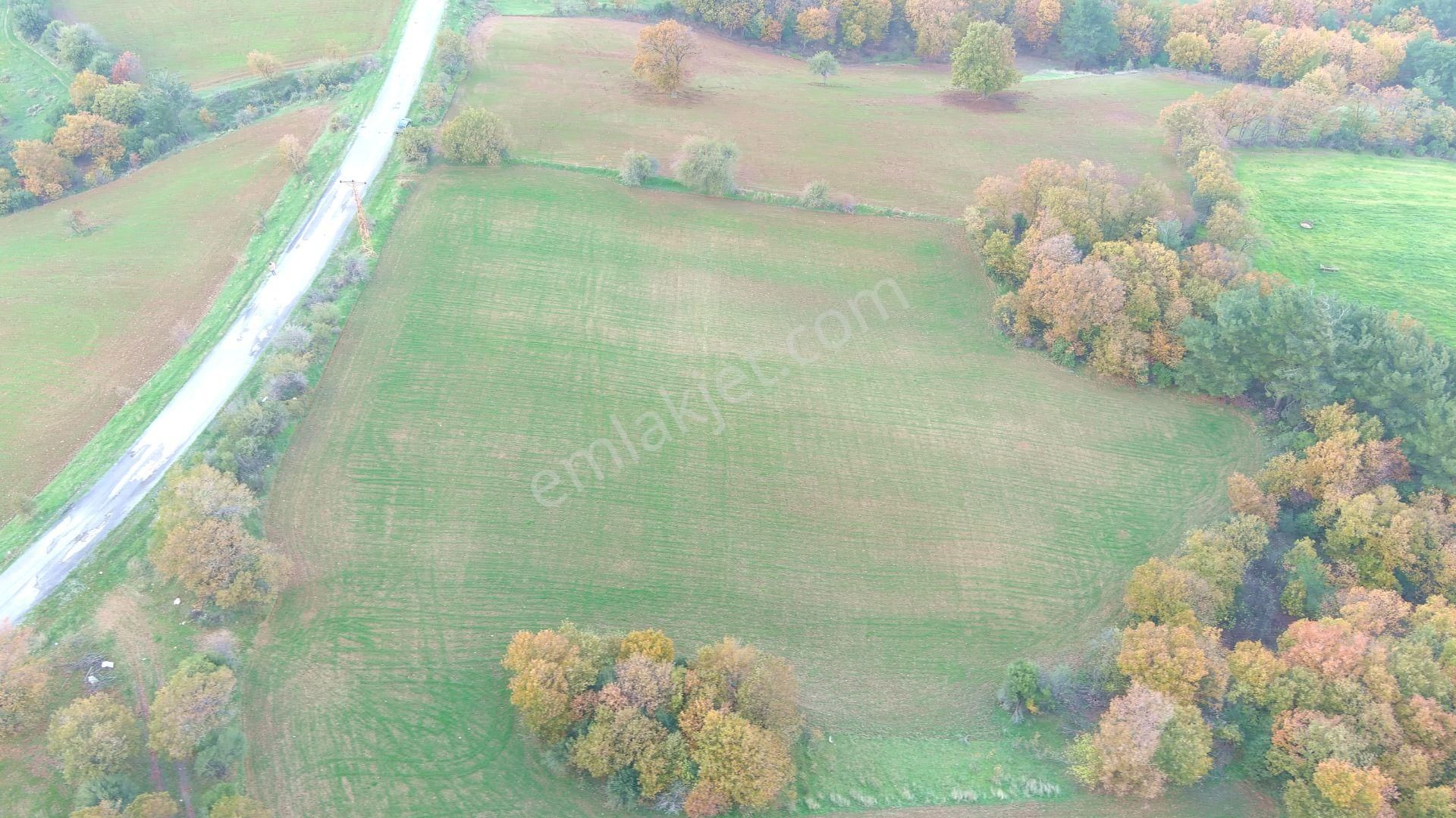 Lapseki'de Ulaşımı Kolay Asfalt Kenarı Yatırımlık Tarla - Görsel 7