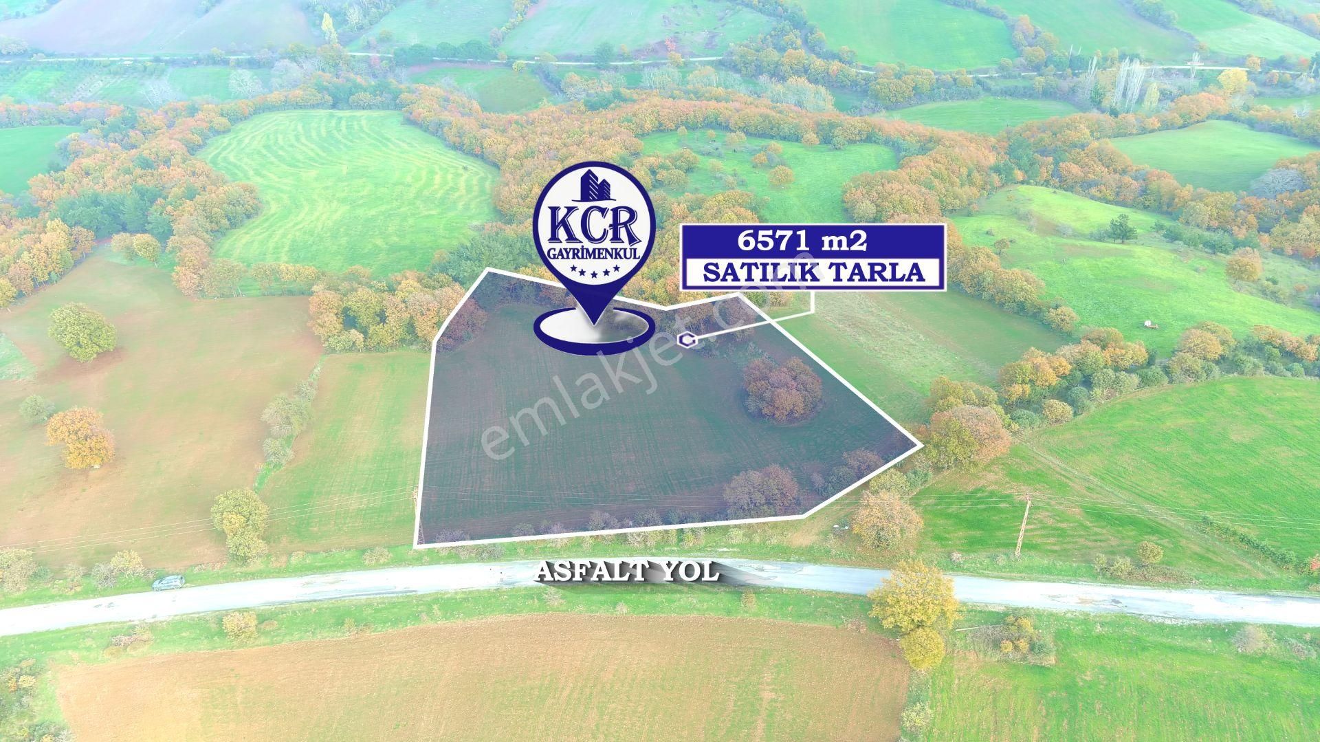 Lapseki'de Ulaşımı Kolay Asfalt Kenarı Yatırımlık Tarla - Görsel 16