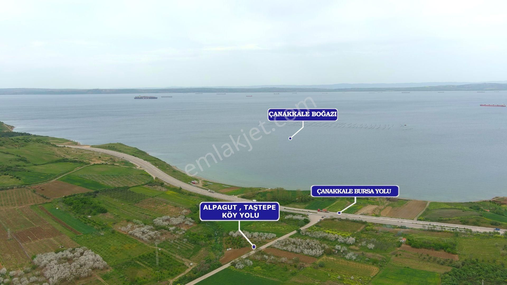 Lapseki'de Ulaşımı Kolay Asfalt Kenarı Yatırımlık Tarla - Görsel 13