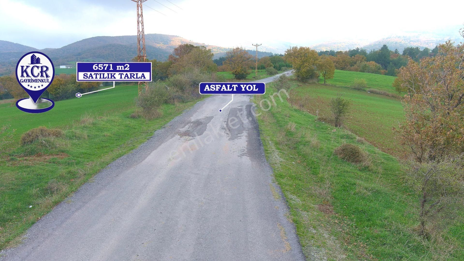 Lapseki'de Ulaşımı Kolay Asfalt Kenarı Yatırımlık Tarla - Görsel 10
