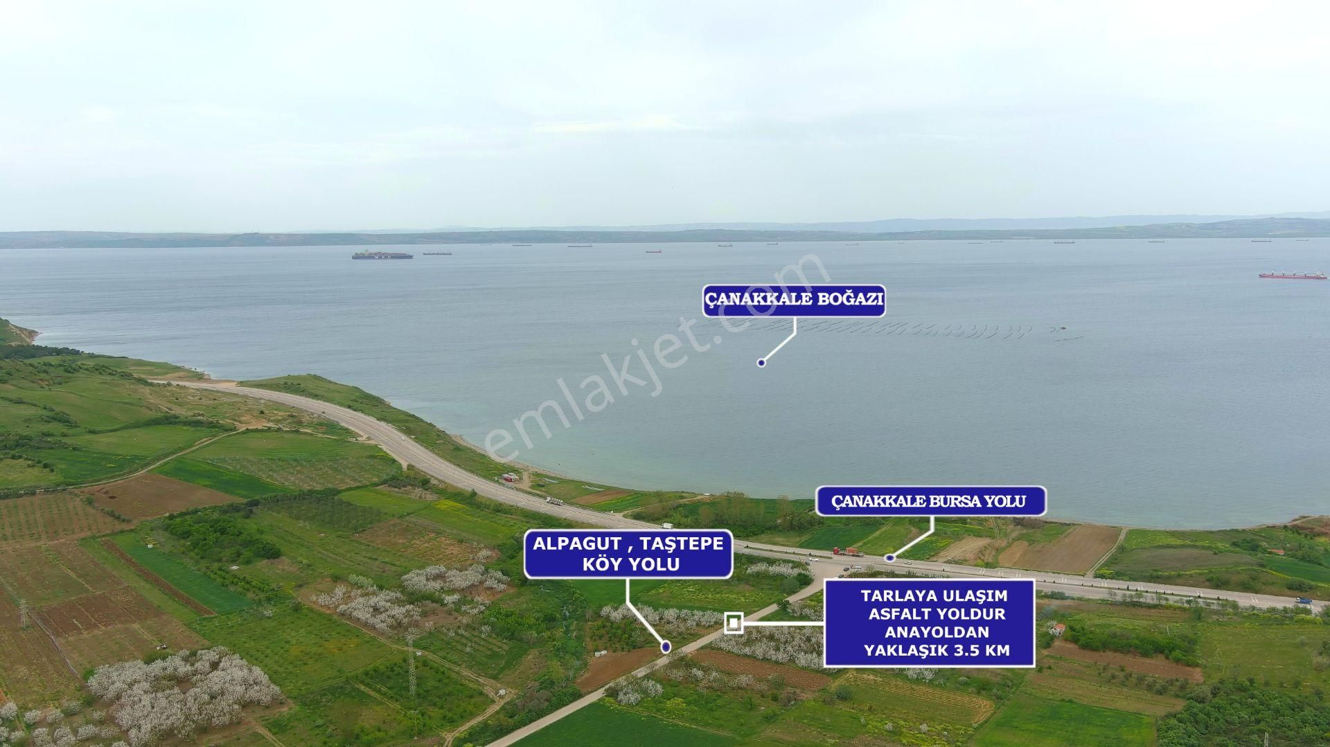 Lapseki'de Ulaşımı Kolay Asfalt Kenarı Yatırımlık Tarla - Görsel 19