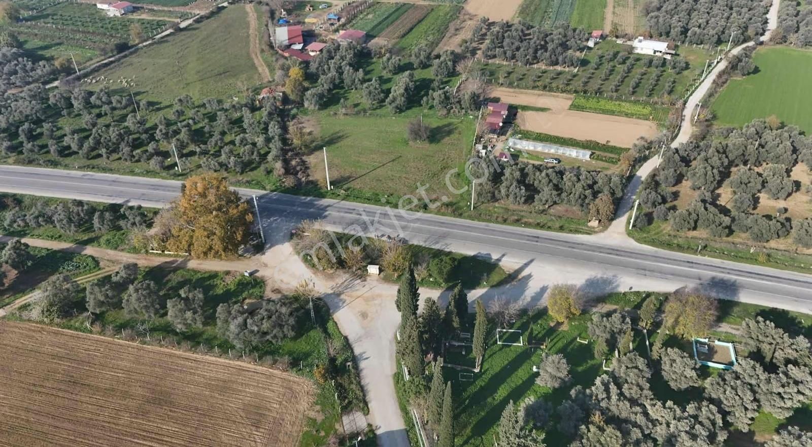 Pek Emlaktan 2800 M2 Tek Tapu Gökçen Yolu Üzeri Satılık Bahçe - Görsel 11