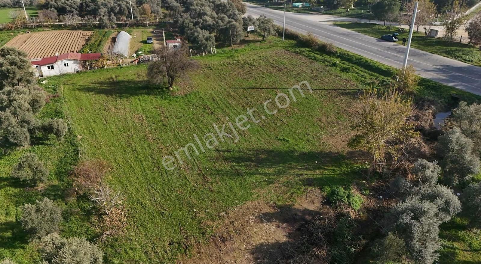 Pek Emlaktan 2800 M2 Tek Tapu Gökçen Yolu Üzeri Satılık Bahçe - Görsel 18