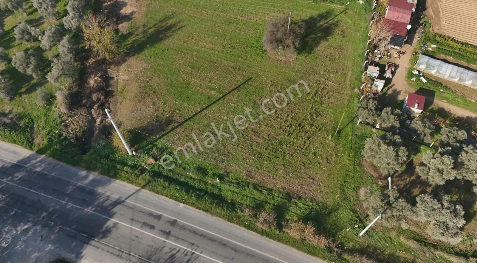 Pek Emlaktan 2800 M2 Tek Tapu Gökçen Yolu Üzeri Satılık Bahçe - Görsel 5