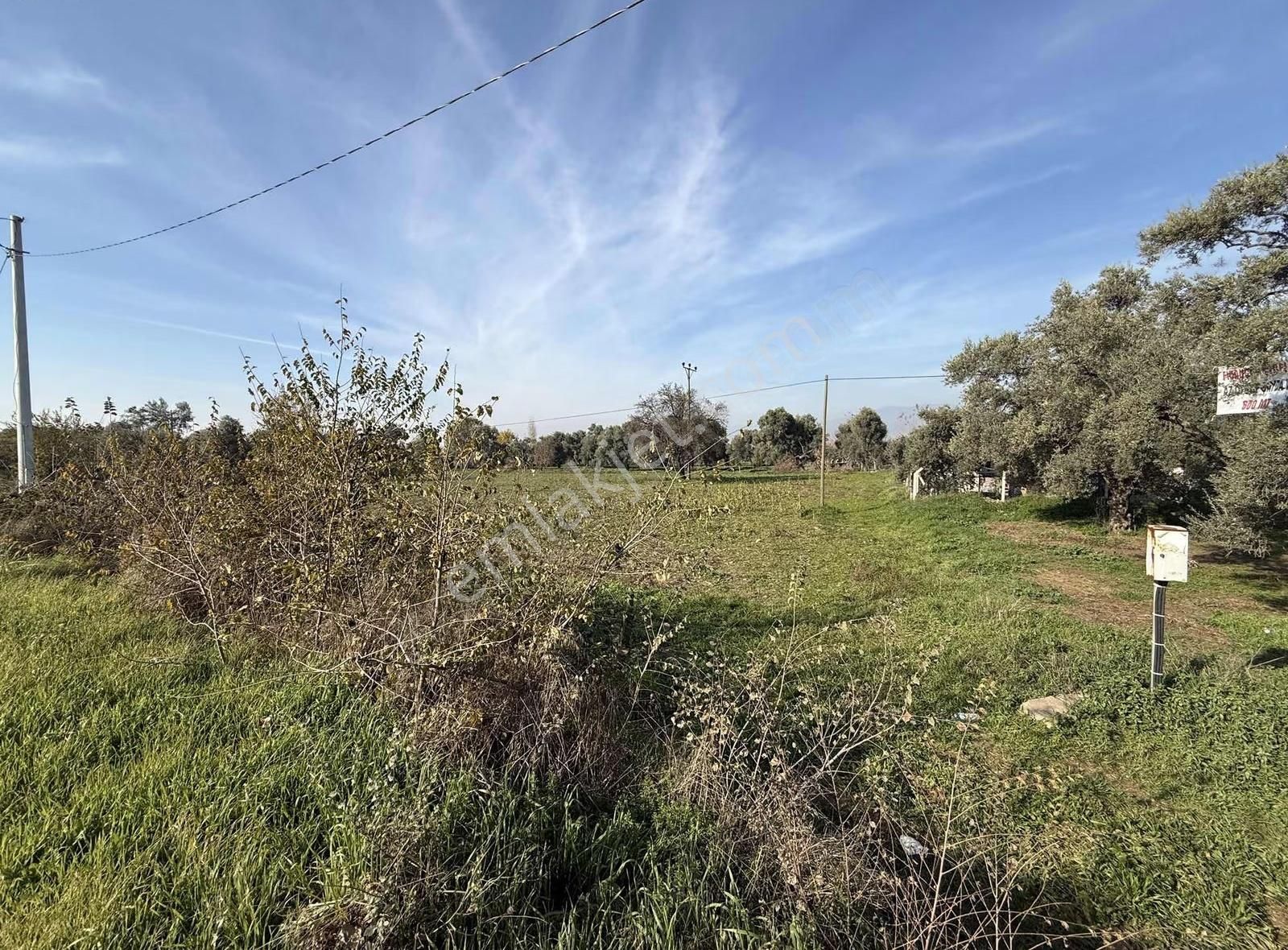 Pek Emlaktan 2800 M2 Tek Tapu Gökçen Yolu Üzeri Satılık Bahçe - Görsel 15