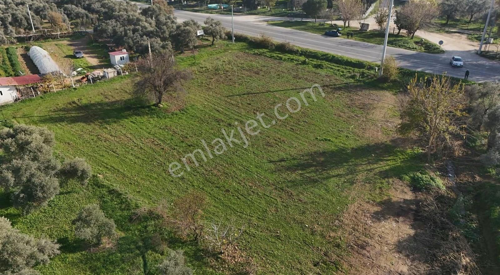 Pek Emlaktan 2800 M2 Tek Tapu Gökçen Yolu Üzeri Satılık Bahçe - Görsel 8