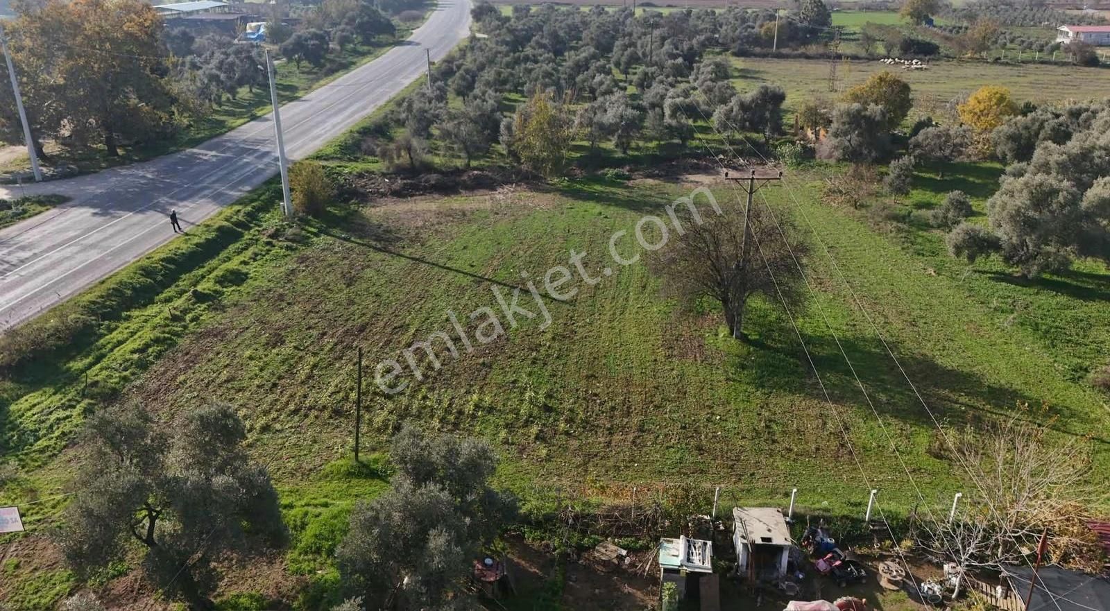 Pek Emlaktan 2800 M2 Tek Tapu Gökçen Yolu Üzeri Satılık Bahçe - Görsel 31