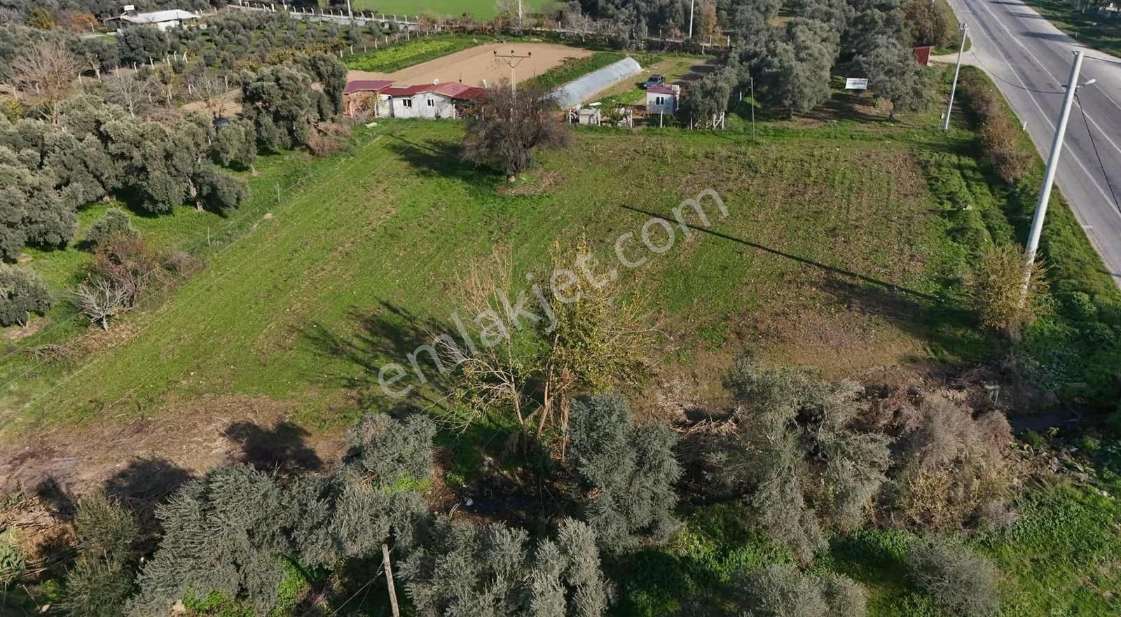 Pek Emlaktan 2800 M2 Tek Tapu Gökçen Yolu Üzeri Satılık Bahçe - Görsel 22