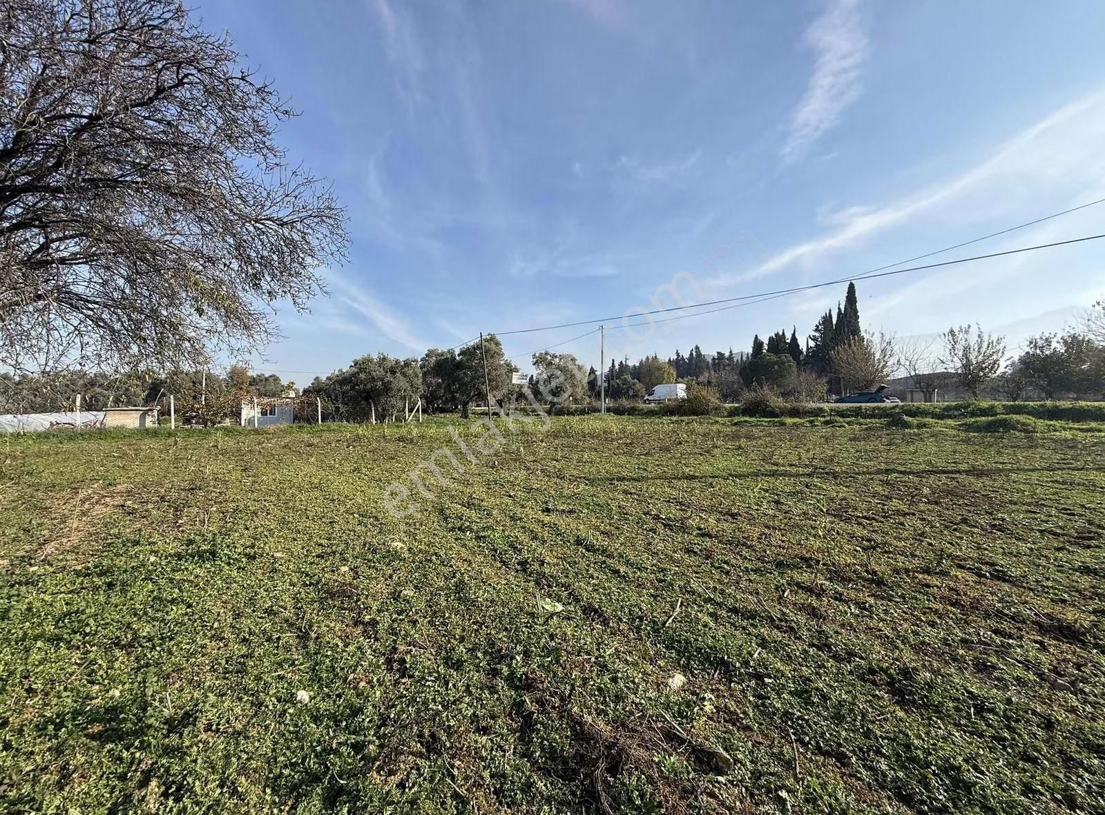 Pek Emlaktan 2800 M2 Tek Tapu Gökçen Yolu Üzeri Satılık Bahçe - Görsel 24