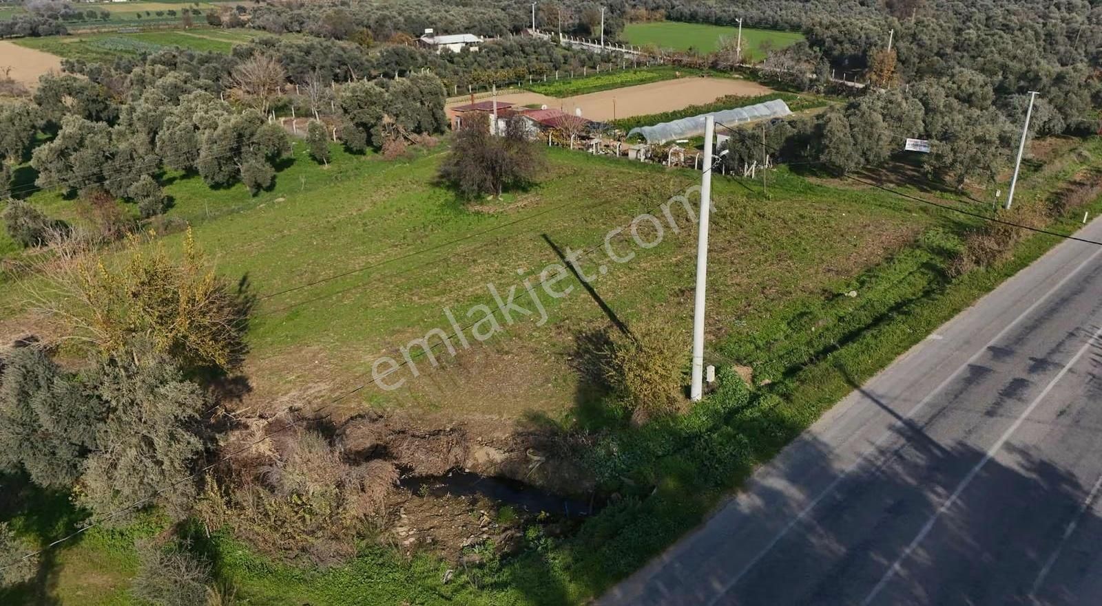 Pek Emlaktan 2800 M2 Tek Tapu Gökçen Yolu Üzeri Satılık Bahçe - Görsel 4