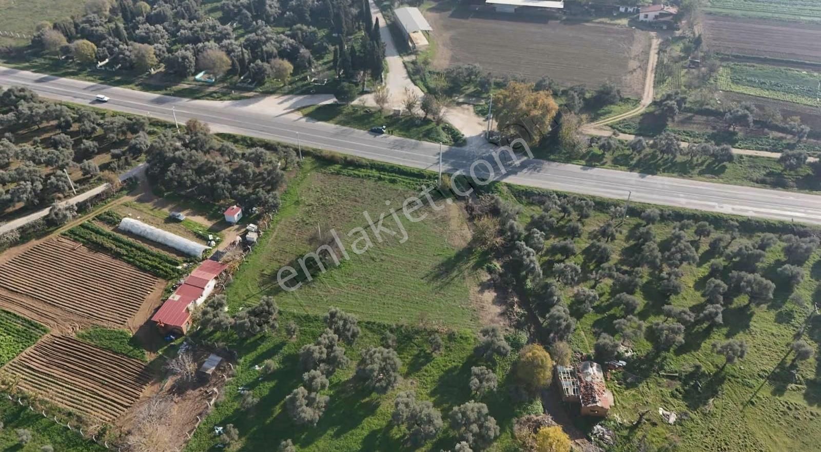 Pek Emlaktan 2800 M2 Tek Tapu Gökçen Yolu Üzeri Satılık Bahçe - Görsel 21