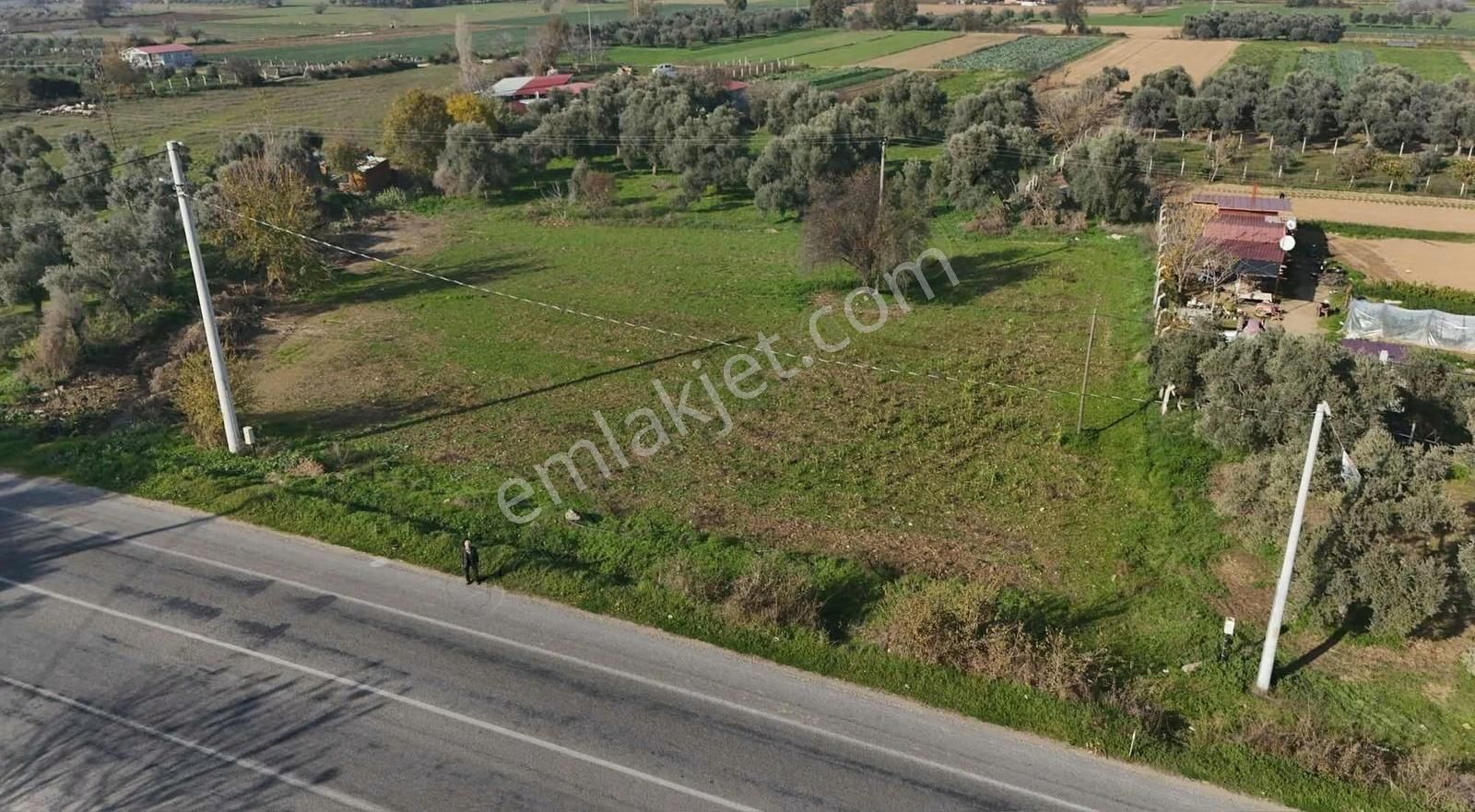 Pek Emlaktan 2800 M2 Tek Tapu Gökçen Yolu Üzeri Satılık Bahçe - Görsel 20