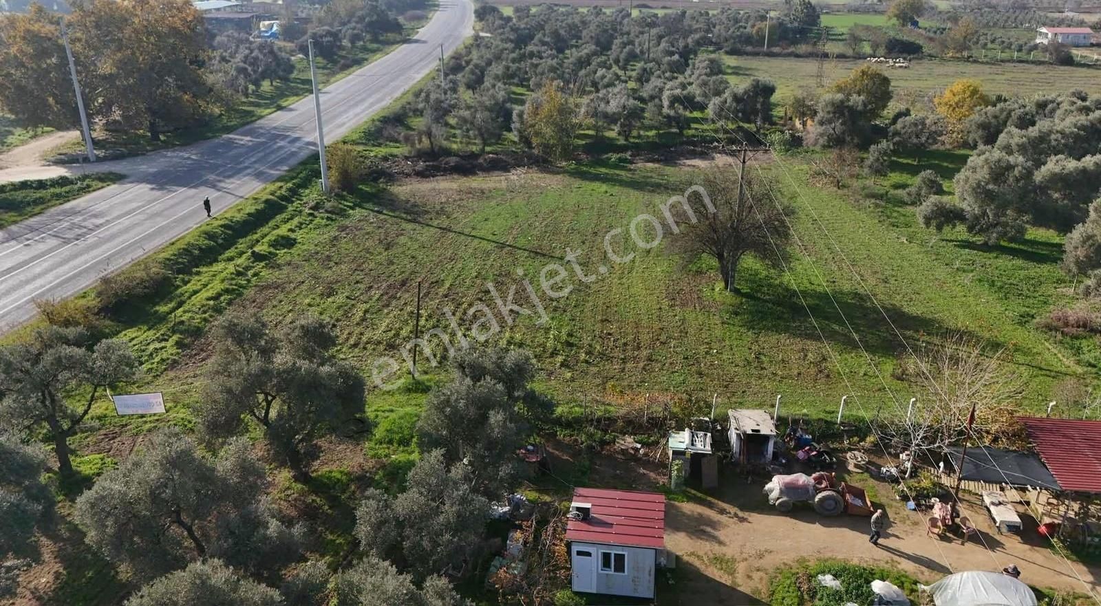 Pek Emlaktan 2800 M2 Tek Tapu Gökçen Yolu Üzeri Satılık Bahçe - Görsel 25