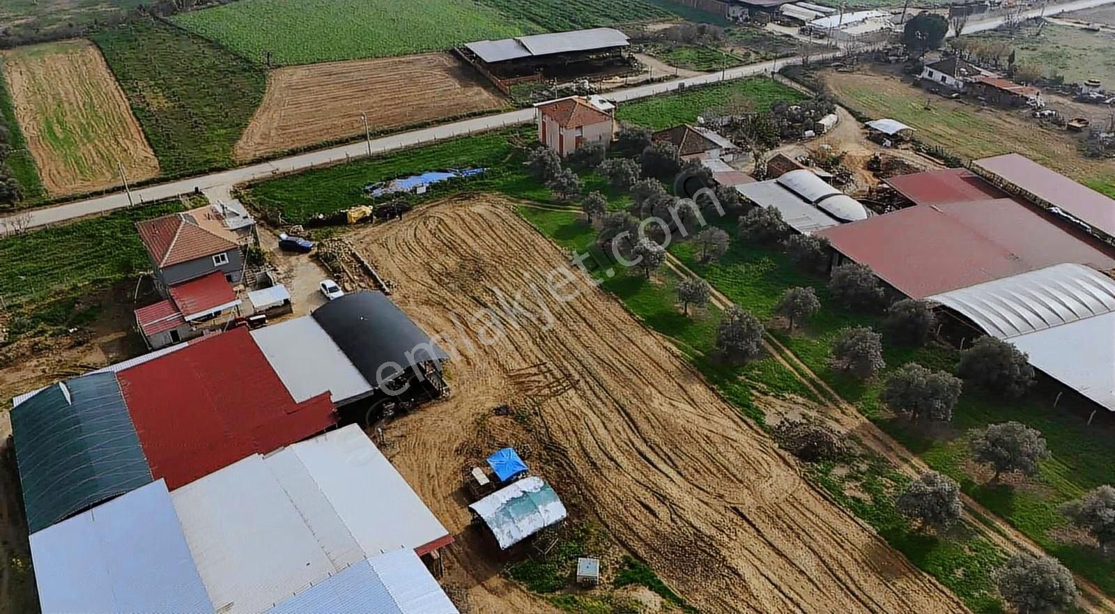 Pek Emlaktan Pınarlıda 3622 M2 Müstakil Parsel Satılık Tarla