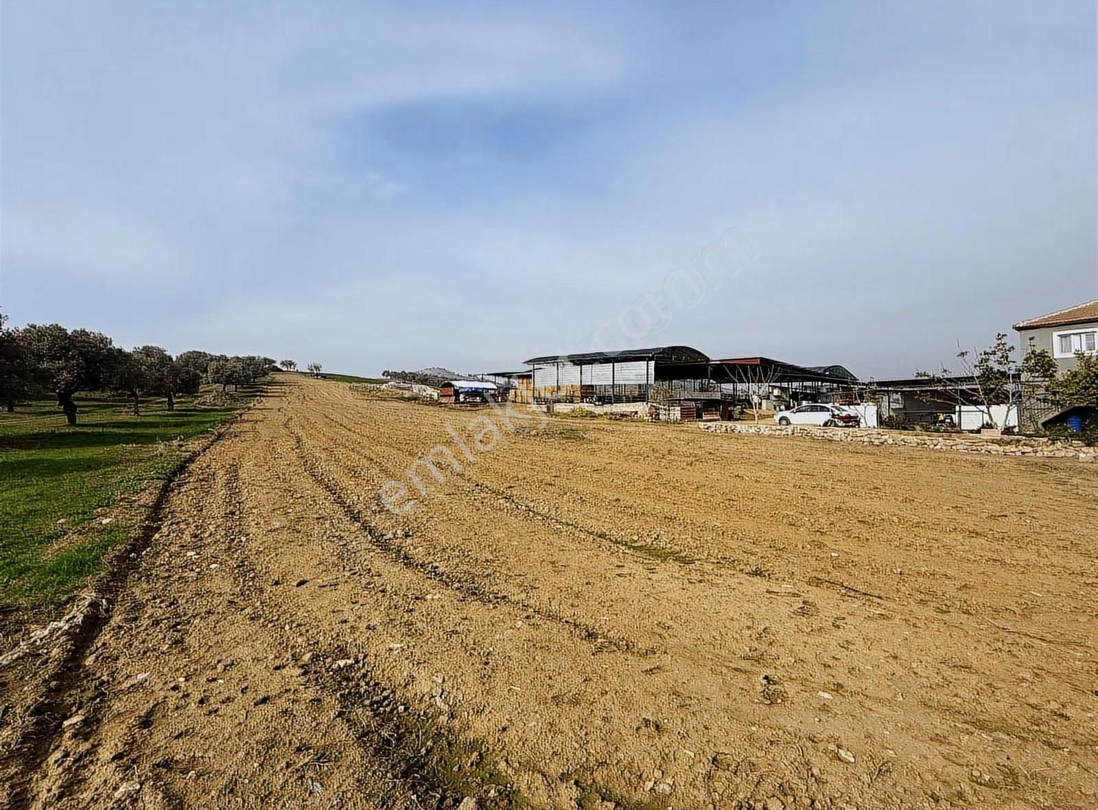 Pek Emlaktan Pınarlıda 3622 M2 Müstakil Parsel Satılık Tarla - Görsel 16