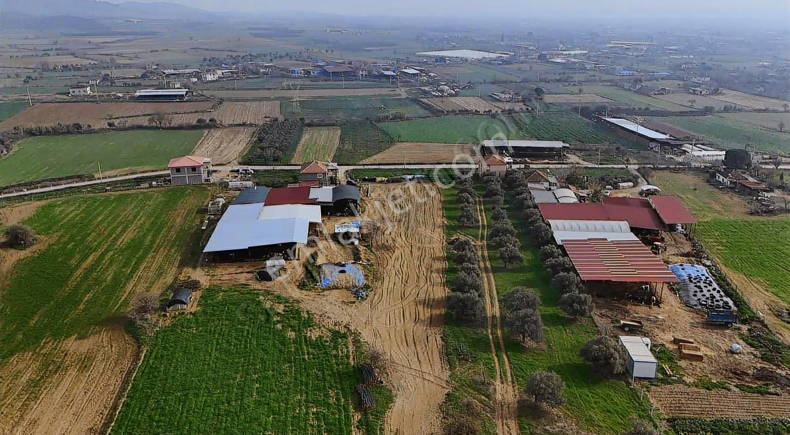 Pek Emlaktan Pınarlıda 3622 M2 Müstakil Parsel Satılık Tarla - Görsel 10