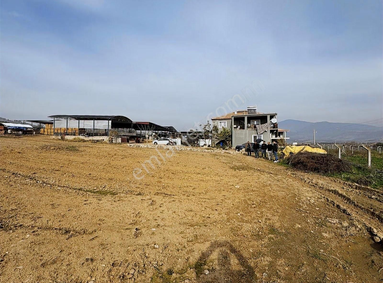 Pek Emlaktan Pınarlıda 3622 M2 Müstakil Parsel Satılık Tarla - Görsel 8