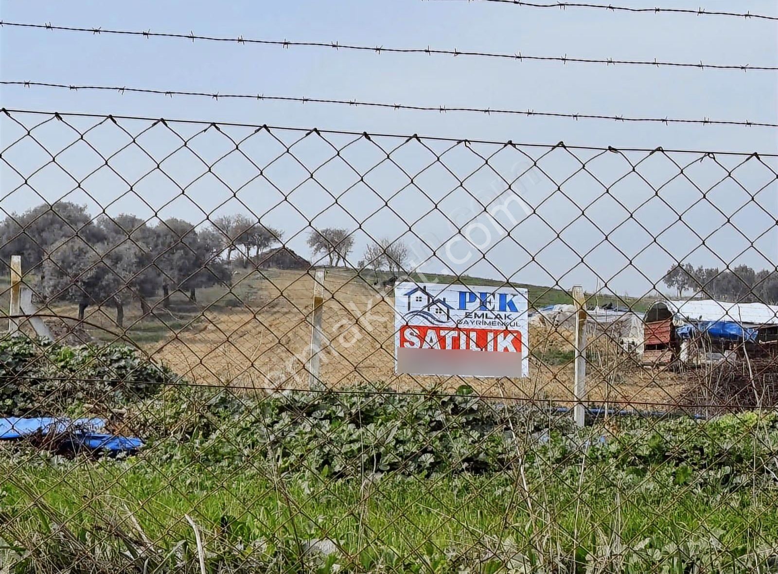 Pek Emlaktan Pınarlıda 3622 M2 Müstakil Parsel Satılık Tarla - Görsel 7