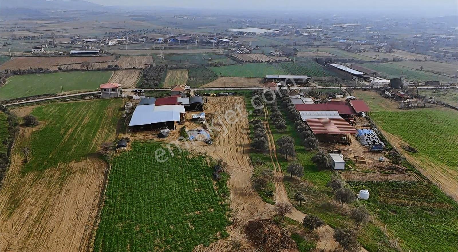 Pek Emlaktan Pınarlıda 3622 M2 Müstakil Parsel Satılık Tarla - Görsel 2