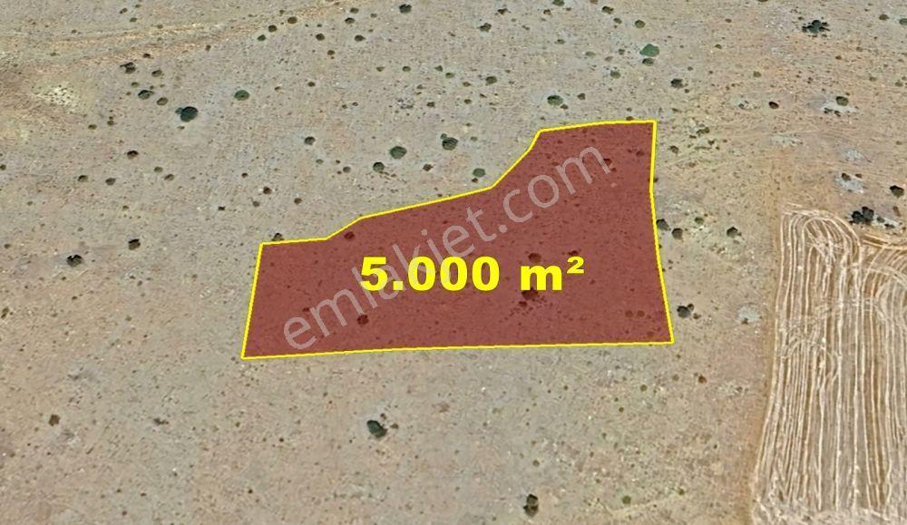 Karaman / Merkez / Başkışla Mahallesinde 5.000 M² Müstakil Tapulu - Görsel 2
