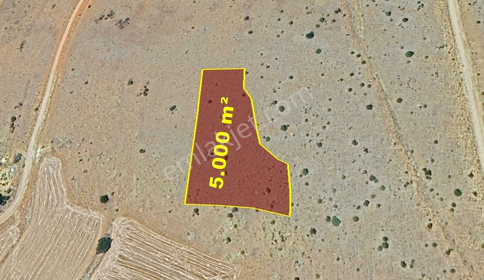 Karaman / Merkez / Başkışla Mahallesinde 5.000 M² Müstakil Tapulu - Görsel 5