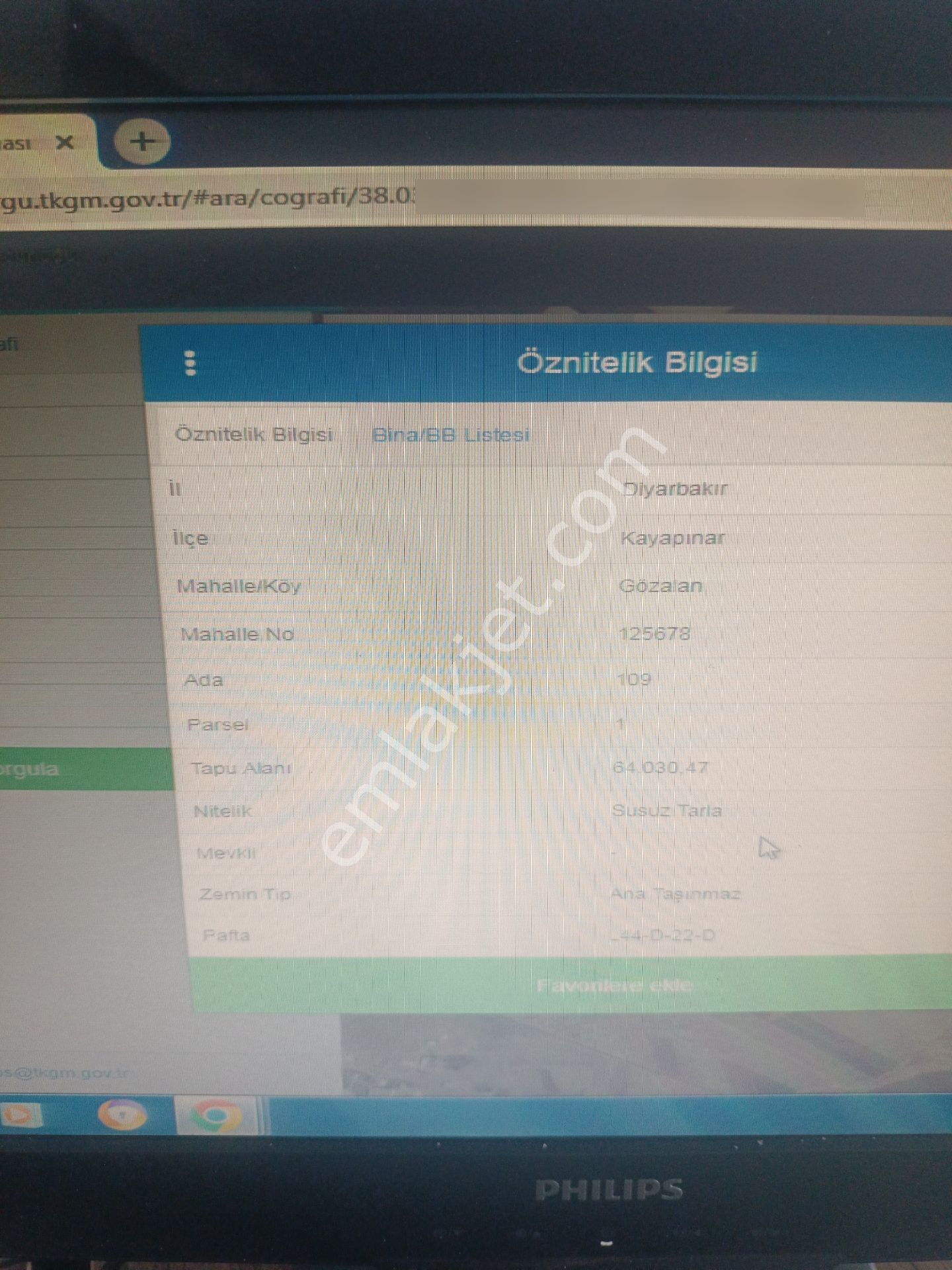 Kayapınar - Görsel 2