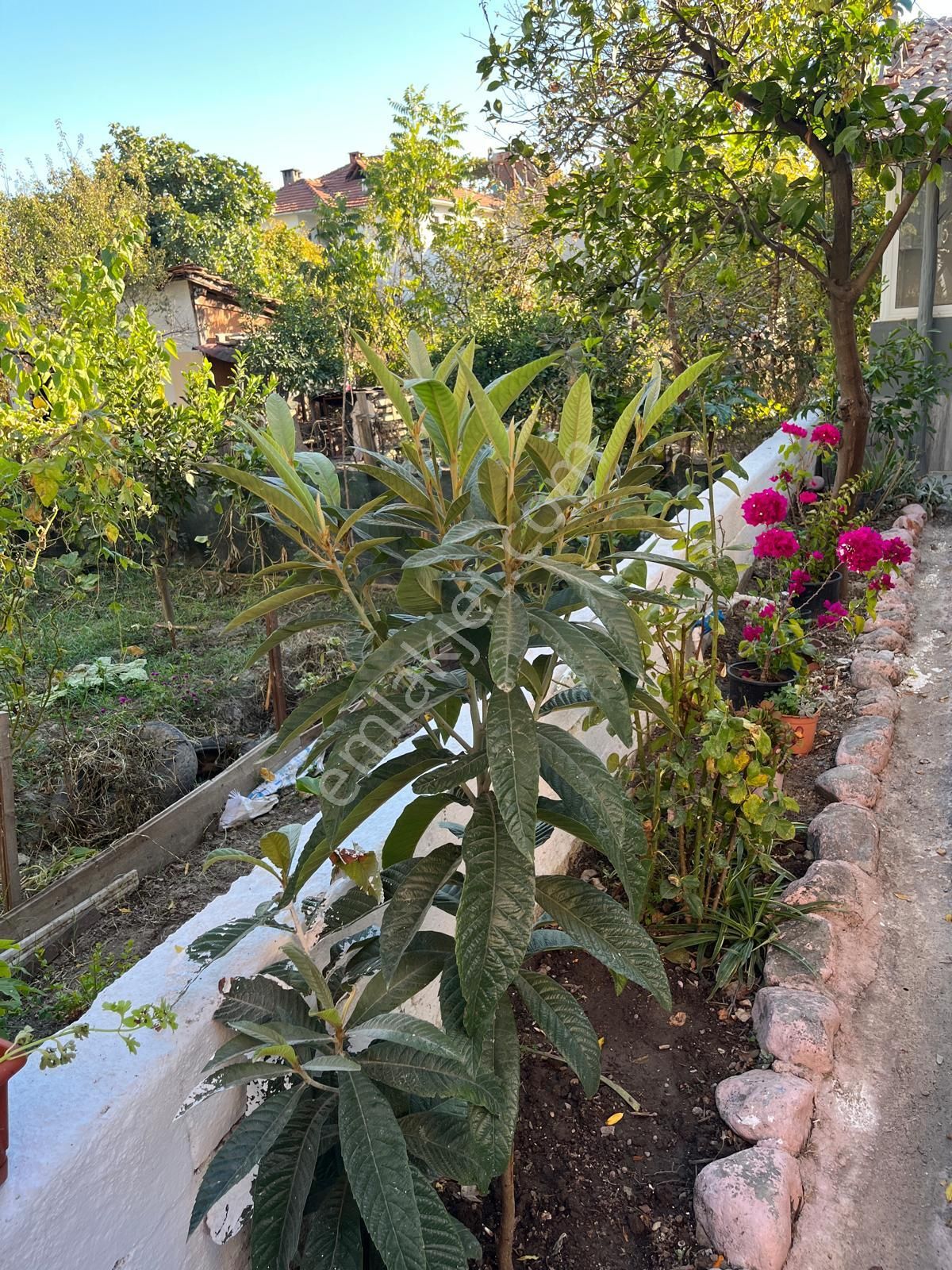 Tuana Emlak'tan Gülpınar'da 3+1 Müstakil Ev - Görsel 4