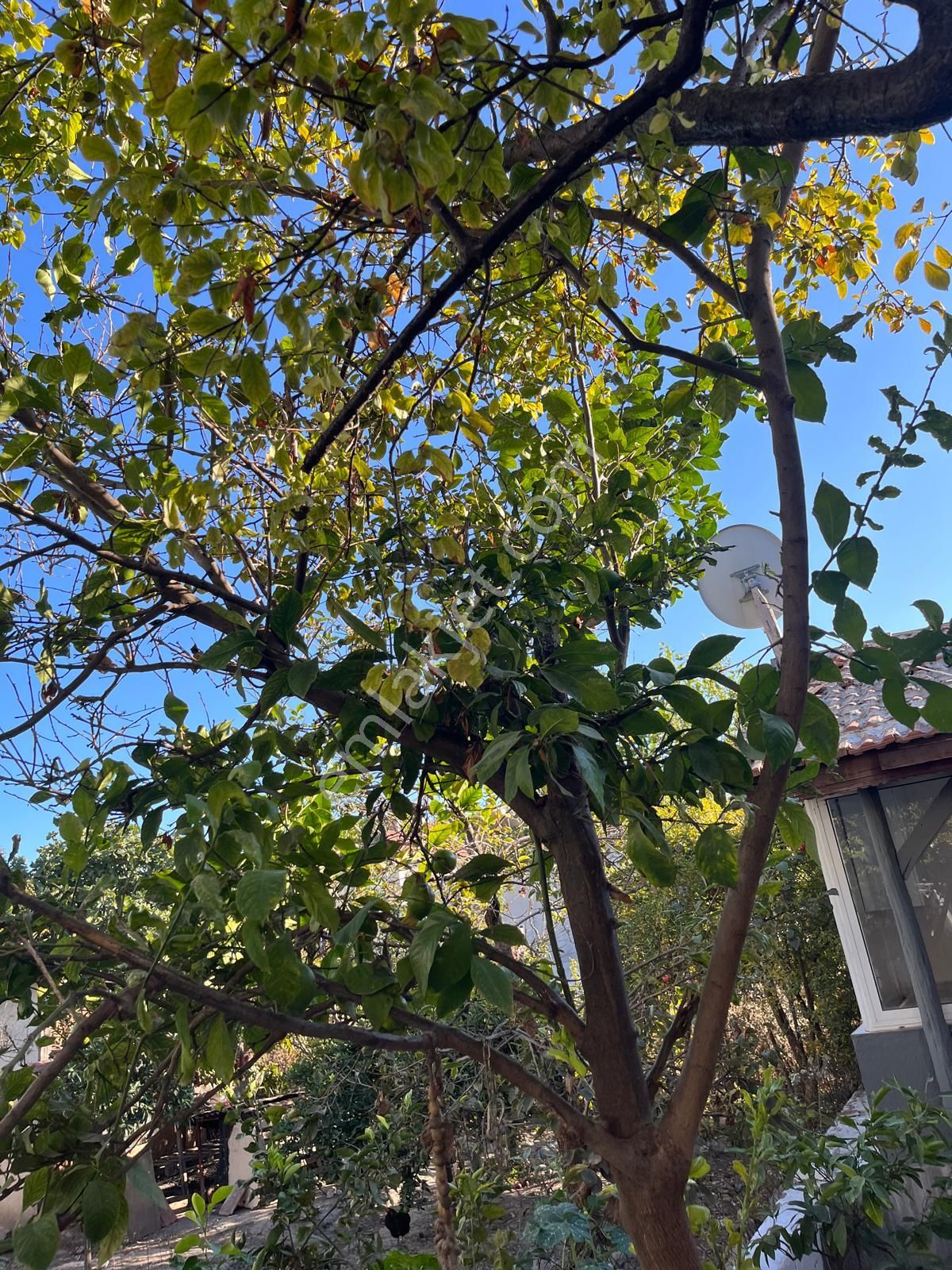 Tuana Emlak'tan Gülpınar'da 3+1 Müstakil Ev - Görsel 22