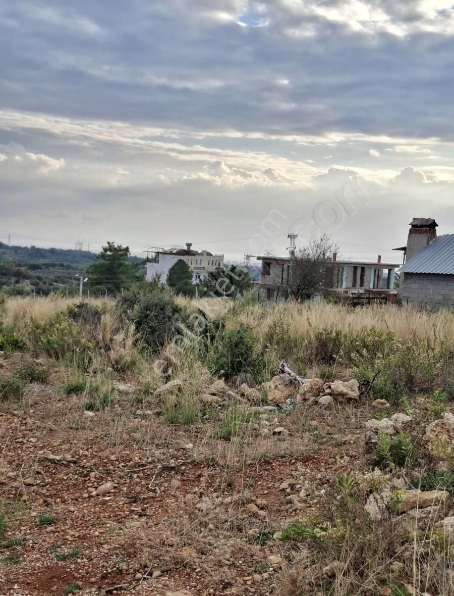 Hacıisalide 20/40 Emsal 650 M² Satılık Arsa - Görsel 3
