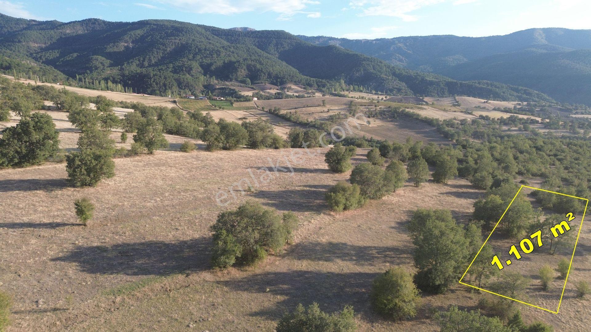 Amasya / Hamamözü / Damladere De 1.107 M² Müstakil Tarla - Görsel 5