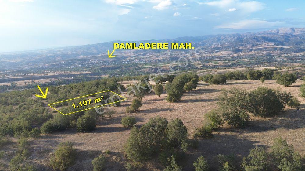 Amasya / Hamamözü / Damladere De 1.107 M² Müstakil Tarla - Görsel 3