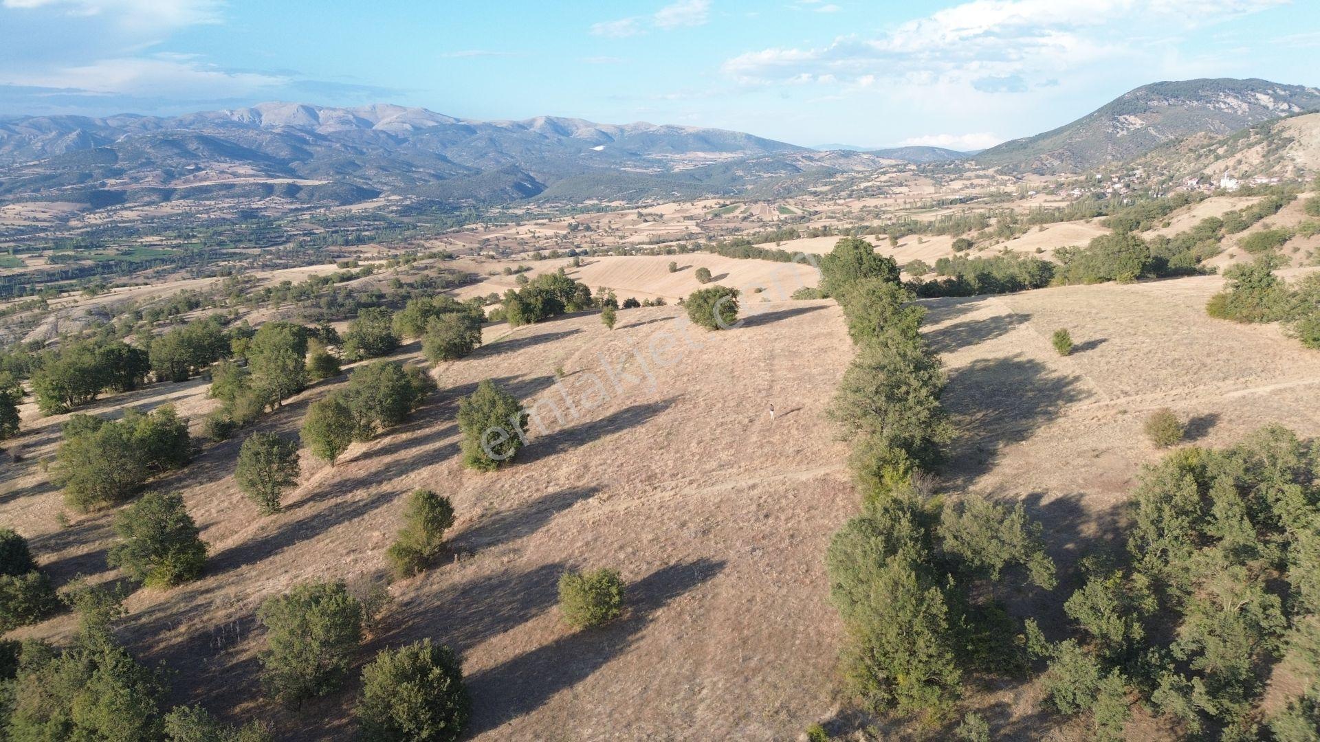 Amasya / Hamamözü / Damladere De 1.107 M² Müstakil Tarla - Görsel 7
